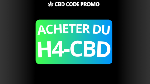 acheter fleur resine H4-CBD shop boutique premium francais