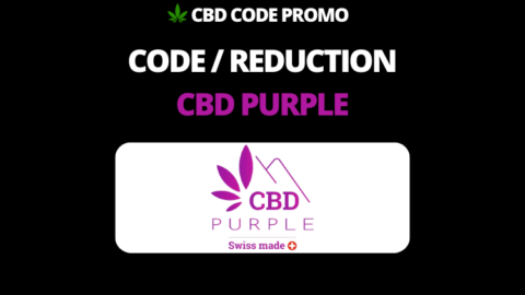 code promo cbd purple cbdpurple.fr 60% reduction valable fleur resine cbd hhc delta-p h4cbd c4b