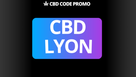 cbd lyon boutique shop fleur resine premium francais