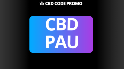 cbd pau boutique shop fleur resine premium francais