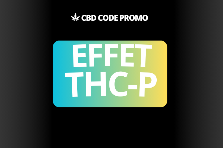 effet thc-p fleur resine shop boutique premium francais