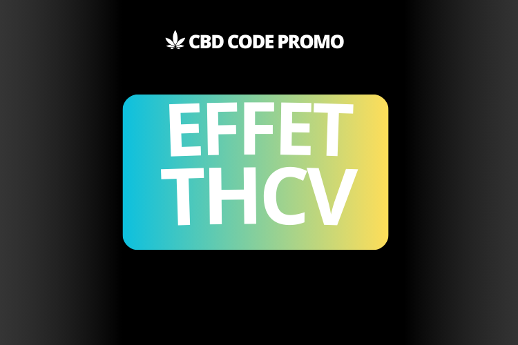 effet thcv fleur resine shop boutique premium francais