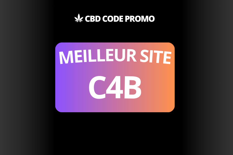 meilleur site fleur resine C4B shop boutique premium francais