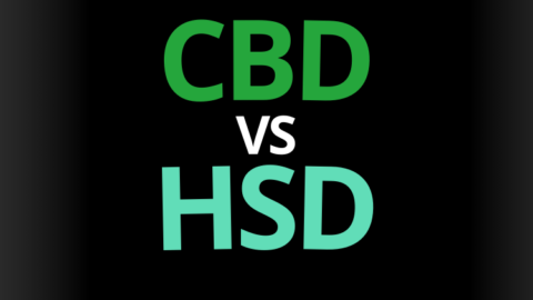 cbd vs HSD effet difference ressenti danger bienfait thc