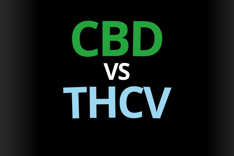 cbd vs thcv effet difference ressenti danger bienfait thc