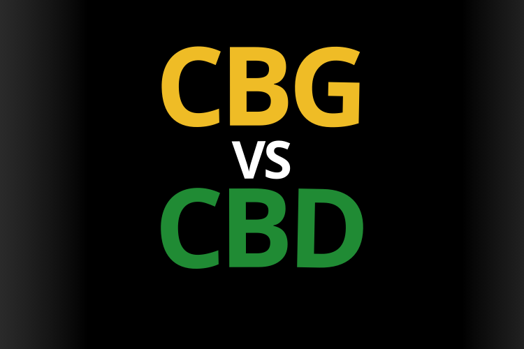 cbg vs cbd effet difference ressenti danger bienfait thc