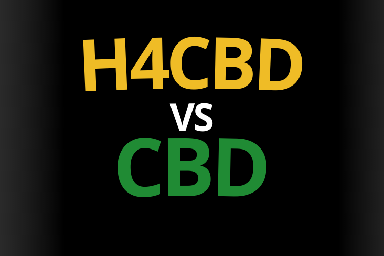 h4cbd vs cbd effet difference ressenti danger bienfait thc