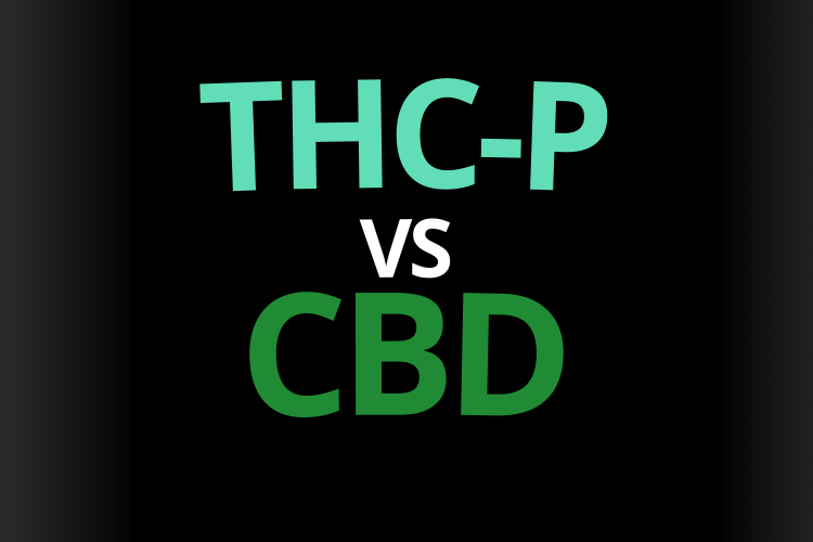 thc-p vs cbd effet difference ressenti danger bienfait thc