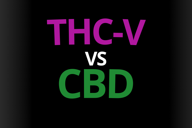 thc-v vs cbd effet difference ressenti danger bienfait thc