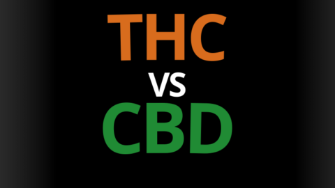 thc vs cbd effet difference ressenti danger bienfait thc