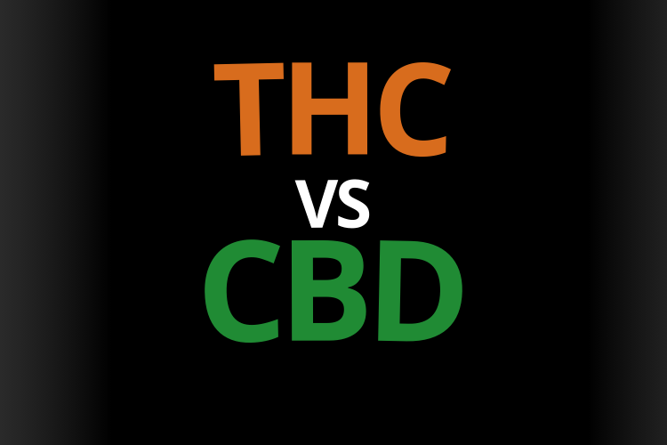 thc vs cbd effet difference ressenti danger bienfait thc
